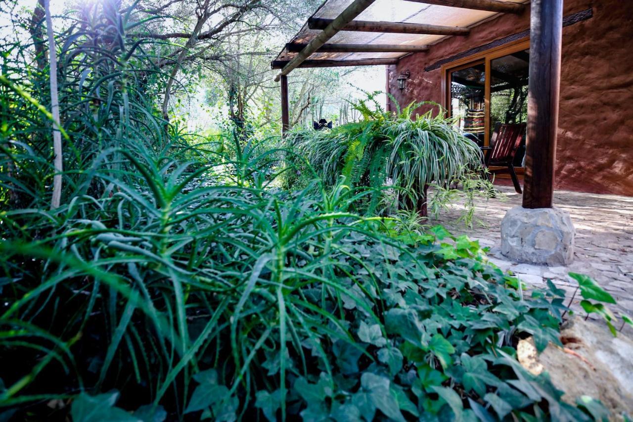 Hôtel Tikal Boungalows à Malcocinado  Extérieur photo