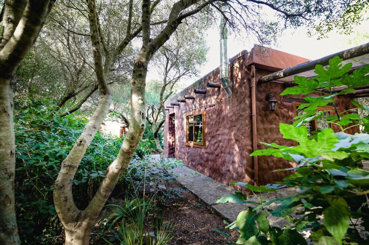 Hôtel Tikal Boungalows à Malcocinado  Extérieur photo