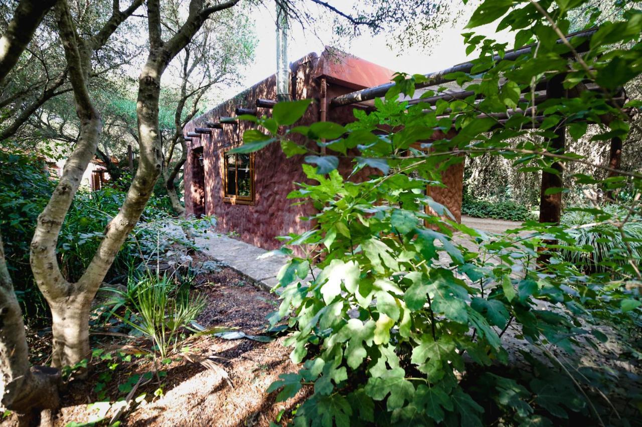 Hôtel Tikal Boungalows à Malcocinado  Extérieur photo