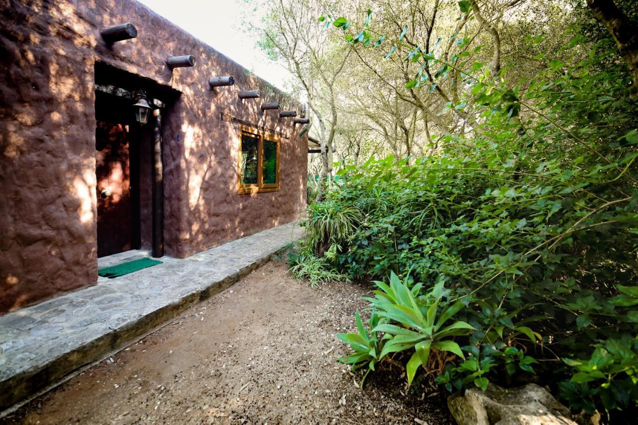 Hôtel Tikal Boungalows à Malcocinado  Extérieur photo